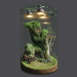 Florarium dwarf