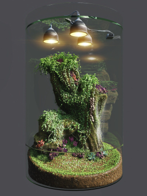 florarium-dwarf-3d-model-max-fbx-mat