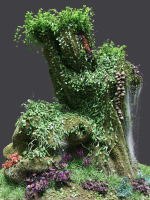 Florarium dwarf