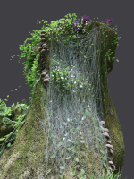 Florarium dwarf