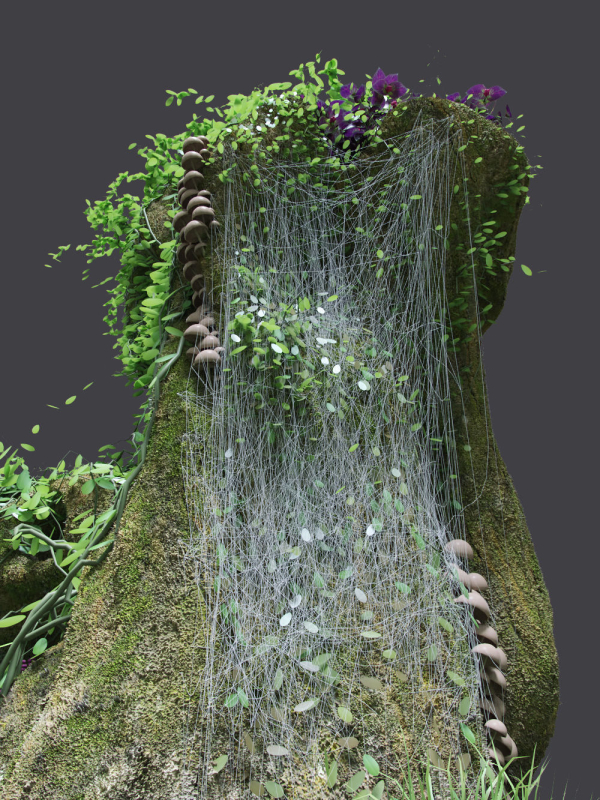 Florarium dwarf