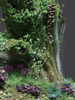Florarium dwarf