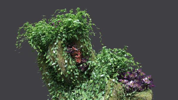 Florarium dwarf
