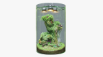 Florarium dwarf
