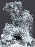 Florarium dwarf