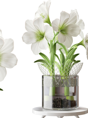 FLOWER 2 two flowers in glass vase