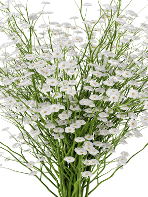 flower-3d-model-6e7909cab6