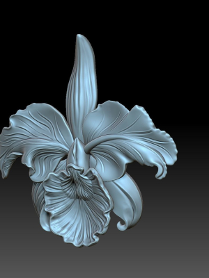 flower-3d-model-obj-3ds-fbx-c4d-stl