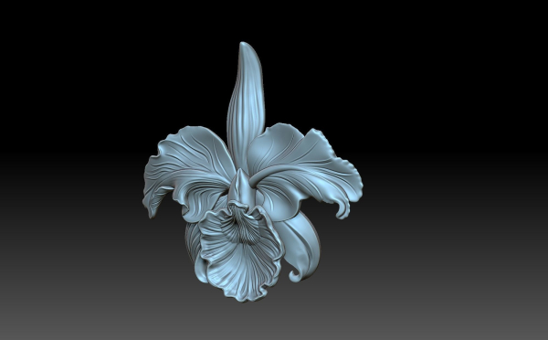 Flower orchid