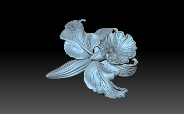 Flower orchid