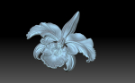 Flower orchid