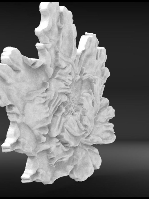 flower-base-relief-3d-print-model-3d-model-obj-stl