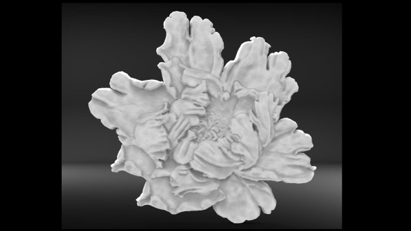 Flower base relief 3D print model