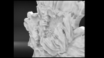 Flower base relief 3D print model