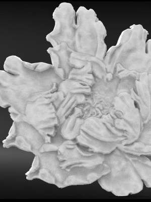 Flower base relief 3D print model