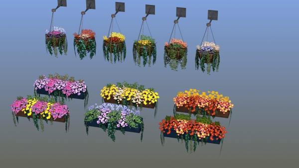 Flower Baskets and Boxes