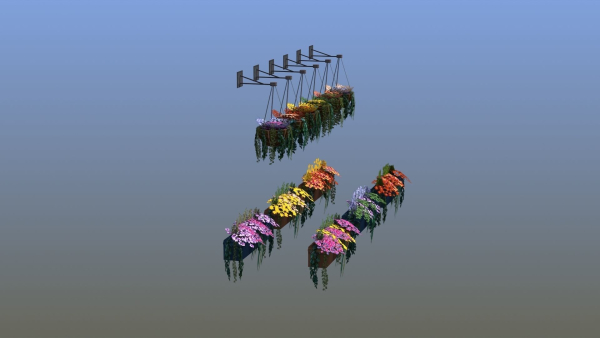 Flower Baskets and Boxes