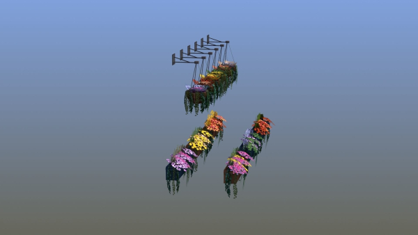 Flower Baskets and Boxes