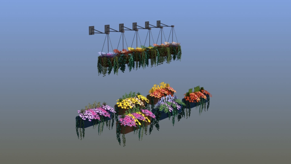 Flower Baskets and Boxes