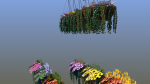 Flower Baskets and Boxes