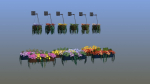 Flower Baskets and Boxes