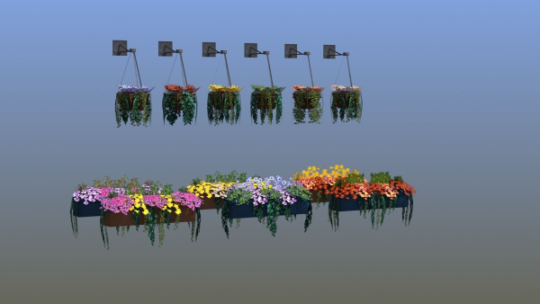 Flower Baskets and Boxes