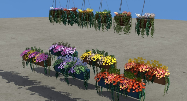 Flower Baskets and Boxes