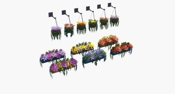 Flower Baskets and Boxes