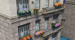 Flower Baskets and Boxes