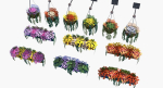 Flower Baskets and Boxes
