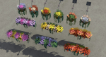 Flower Baskets and Boxes