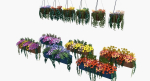Flower Baskets and Boxes