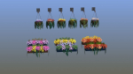Flower Baskets and Boxes