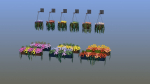 Flower Baskets and Boxes