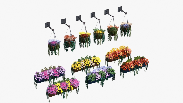 Flower Baskets and Boxes