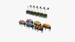 Flower Baskets and Boxes