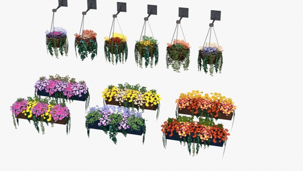 Flower Baskets and Boxes