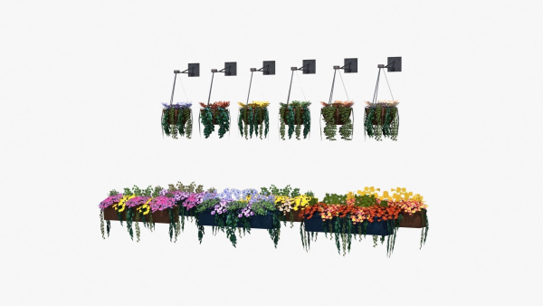 Flower Baskets and Boxes