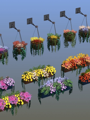 Flower Baskets and Boxes