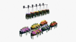 Flower Baskets and Boxes