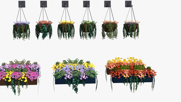 Flower Baskets and Boxes