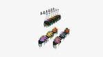 Flower Baskets and Boxes