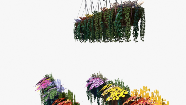 Flower Baskets and Boxes