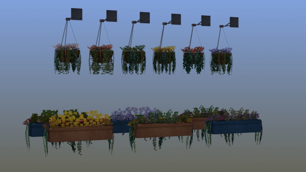 Flower Baskets and Boxes