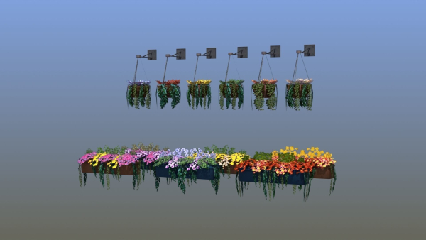 Flower Baskets and Boxes