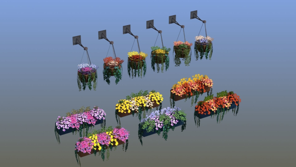 Flower Baskets and Boxes