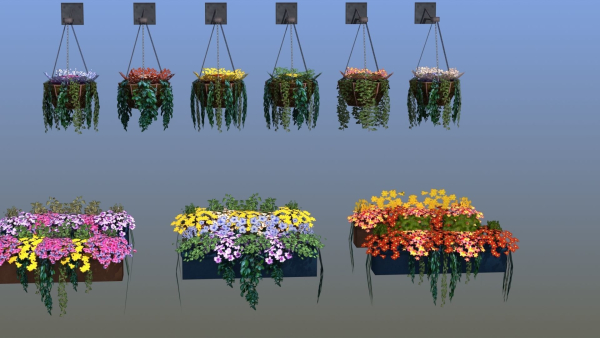 Flower Baskets and Boxes