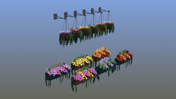 Flower Baskets and Boxes