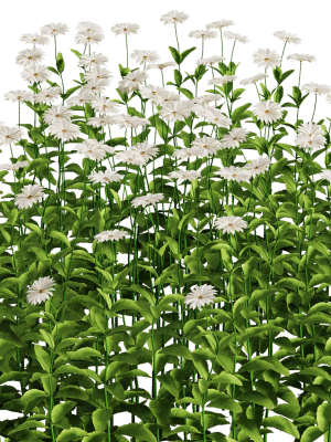 flower-bush-set1-3d-model-018f011484
