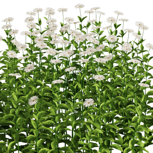 Flower Bush Set1